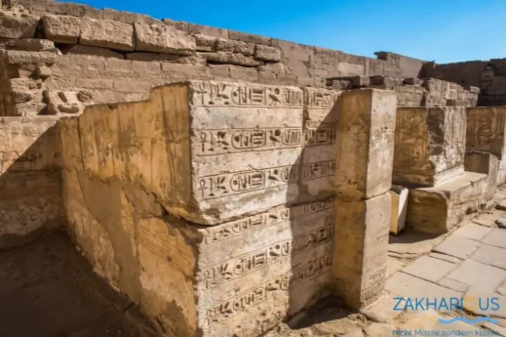 Half-day trip to Thebes West 
