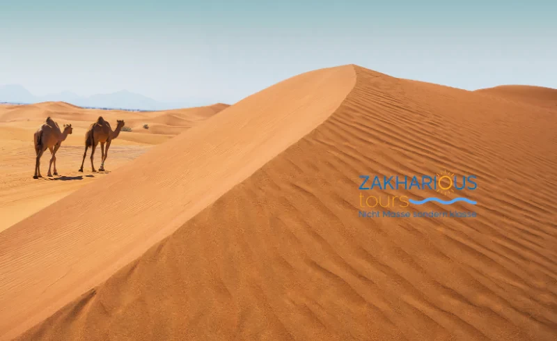 From Cairo 2 day trip to the White Desert and El Bahariya Oasis