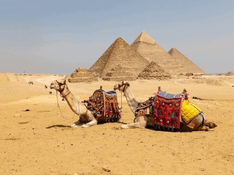 From Makadi Bay Daytrip to Cairo & Giza by plane