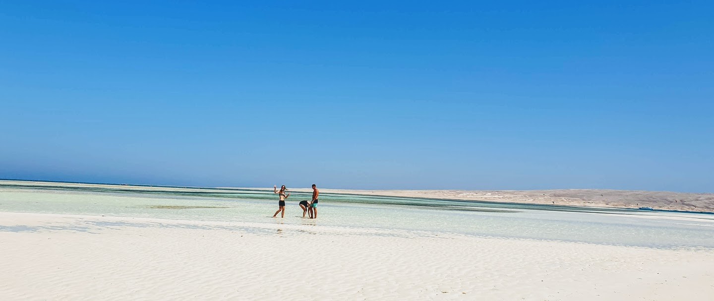 Private dolphin tour by speed boat From El Gouna