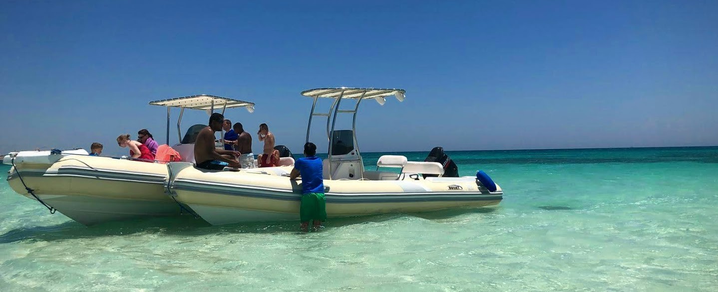 Private dolphin tour by speed boat From El Gouna