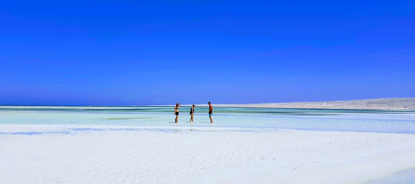 Private dolphin tour by speed boat From El Gouna