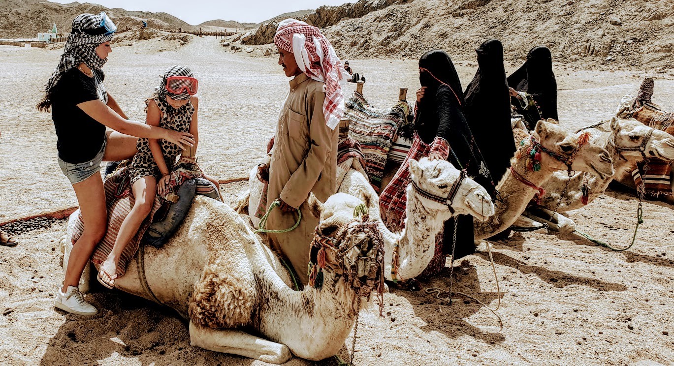 From Hurghada: Dune buggy safari with dinner