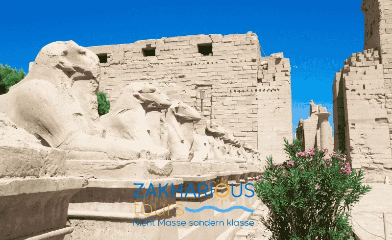 From El Gouna: private 2-day trip to Luxor