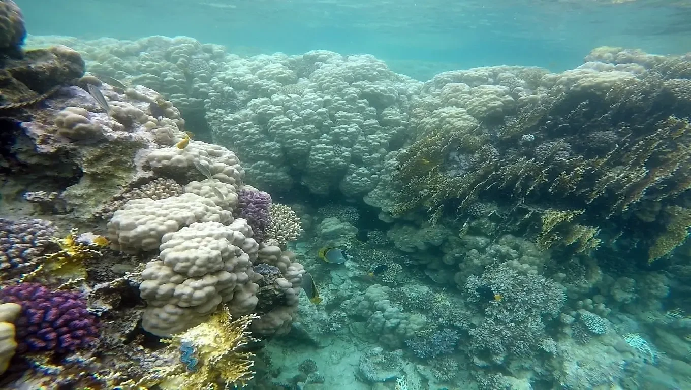Utopia Insel Hurghada: Egypt Excursion