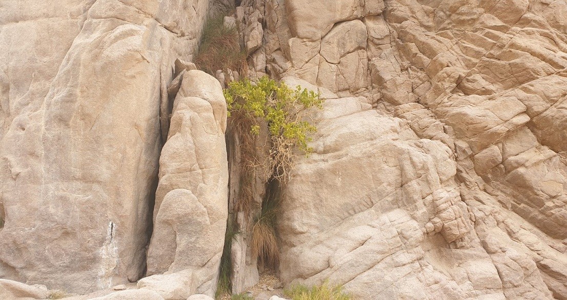 Jeep safari excursion from Soma bay & Safaga