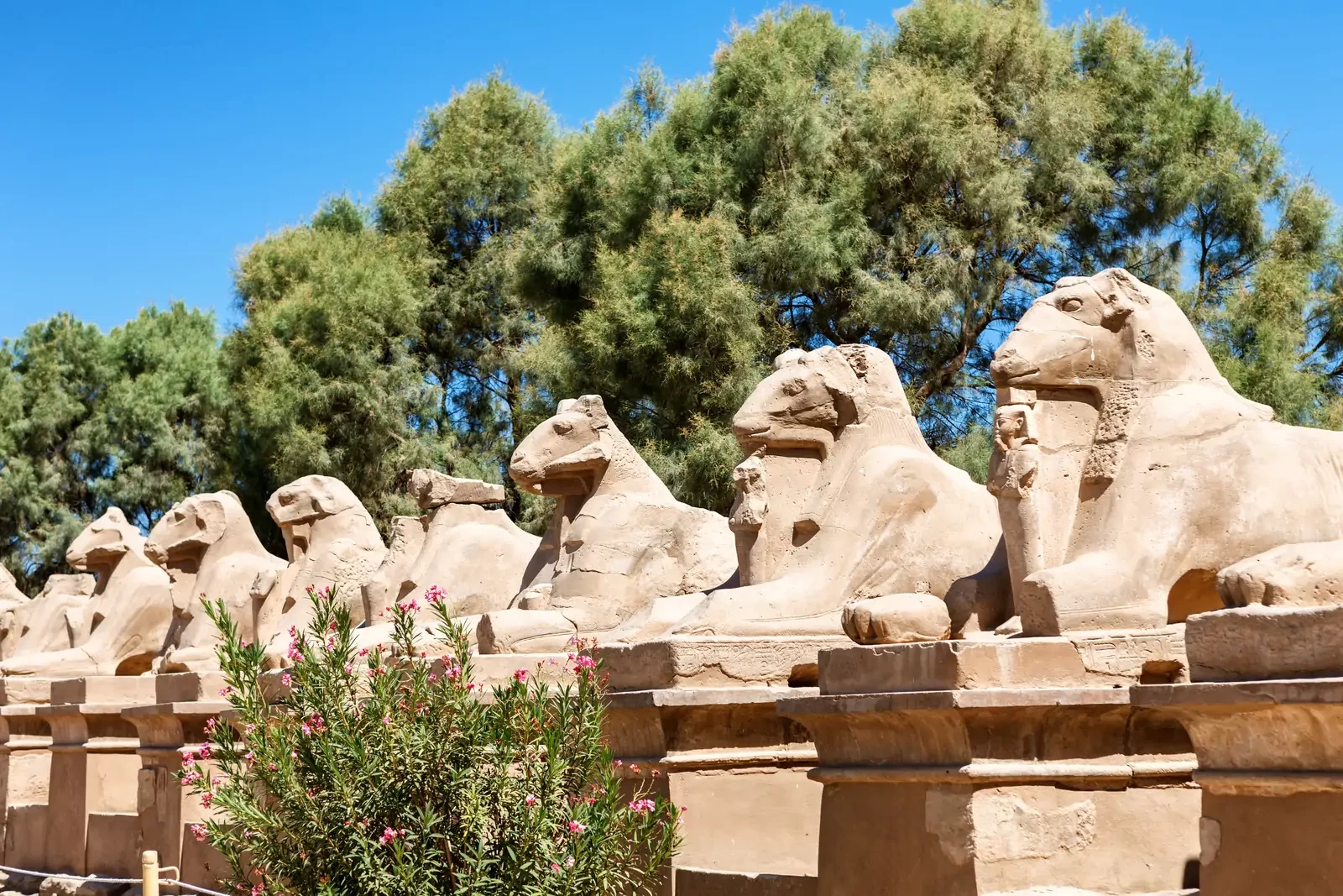 Day Trip from Hurghada to Luxor-Kings Valley by bus