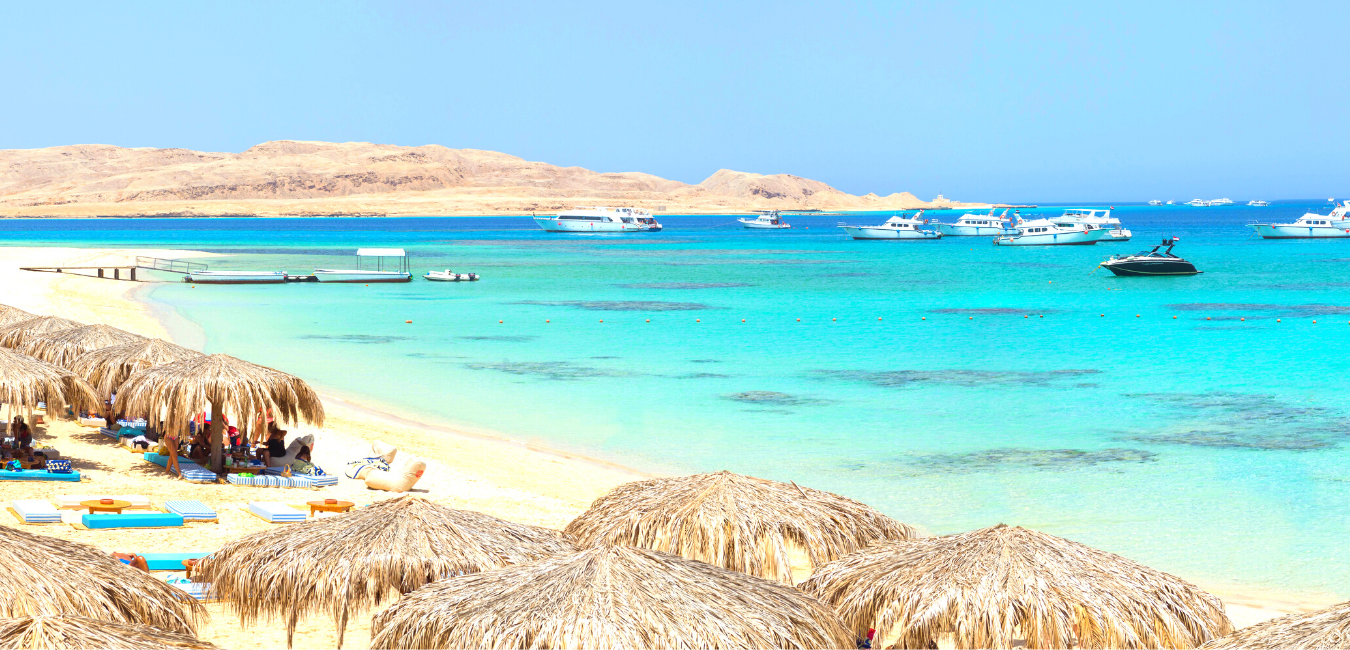 From Sahl Hasheesh Snorkeling tour to Mahmya Island -Caribbean feeling island