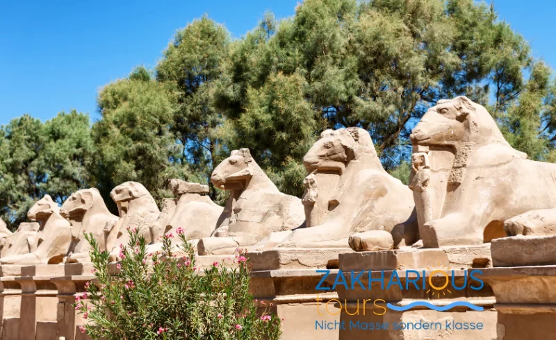 Private Excursion to Luxor from Soma Bay