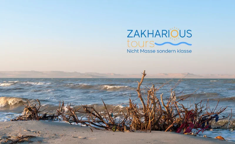 Private day trip to Fayoum Oasis from Cairo