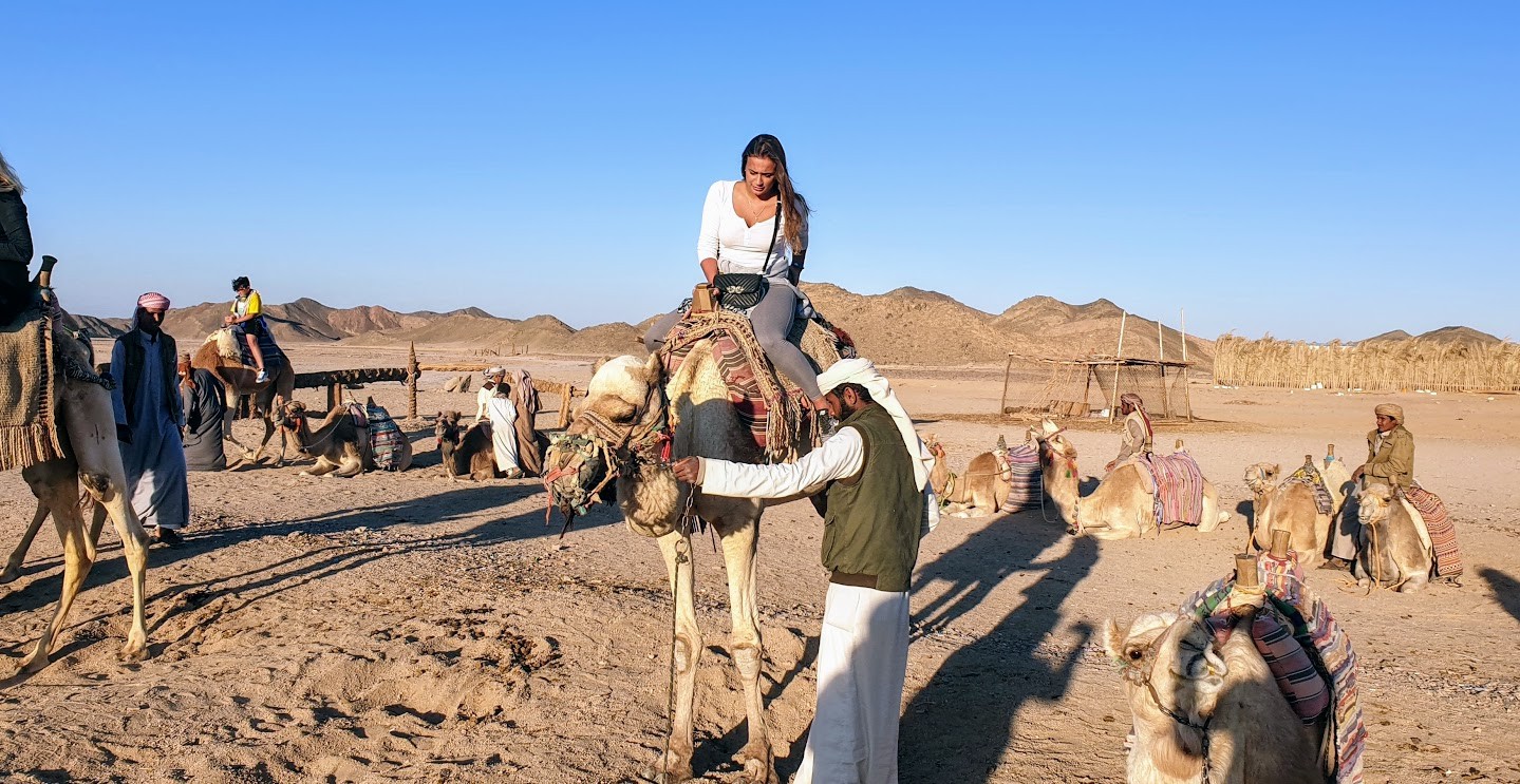 Quad safari desert tour from Soma bay & Safaga