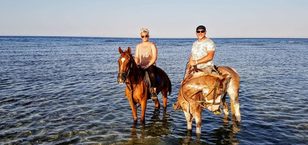 Riding and swimming with the horses in Soma Bay and Safaga