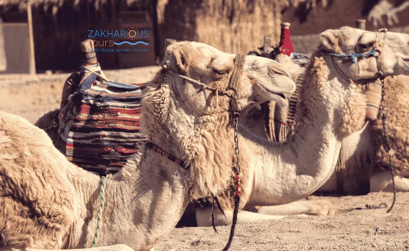 Jeep safari excursion at sunset in the desert of Hurghada
