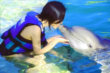 delphin Show delfinarium Hurghada