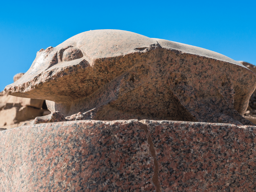 Skarabäus käfer in karnak temple ägypten,  Ausflug nach Luxor-Tal der Könige ab Soma bay-Safaga- Kleingruppe,  soma bay ausflüge, safaga soma bay touren, safaga soma bay aktivitäten, safaga soma sehenswürdigkeiten