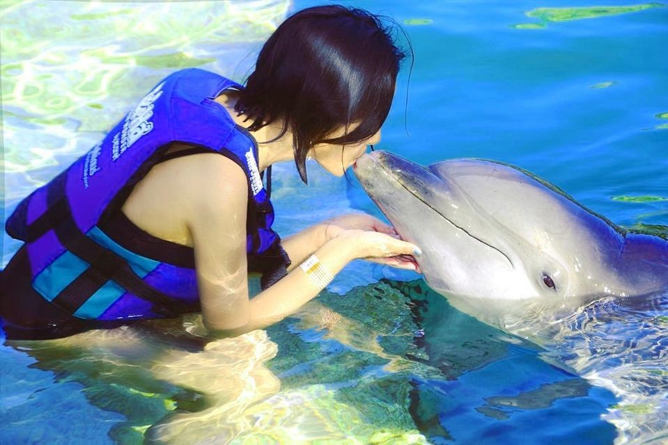 delphin Show delfinarium Hurghada, makadi bay