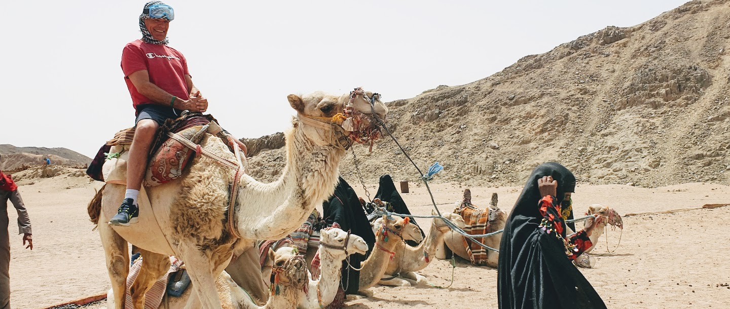kamelritt auf der dune buggy tour ab sahl hasheesh und makadi bay