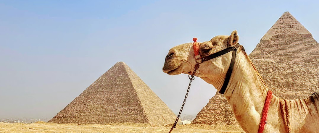 El Gouna: Tagestour nach Kairo und Gizeh mit Mini Bus, El gouna ausflüge pyramiden, el gouna ausflüge nach kairo, el gouna ausflüge zu pyramiden, el gouna ausflug zu den pyramiden, el gouna ausflüge nach kairo, el gouna ausflug nach kairo, el gouna ausflu