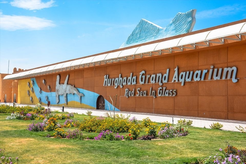hurghada grand aquarium, hurghada sehenswürdigkeiten hurghada grand Aquarium red sea rotes meer ausflug zoo hurghada
