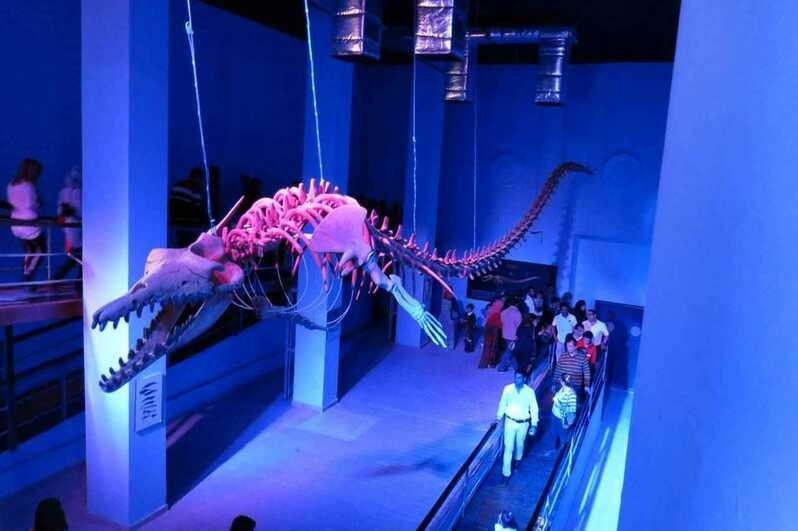 hurghada grand aquarium, hurghada sehenswürdigkeiten hurghada grand Aquarium red sea rotes meer ausflug zoo hurghada