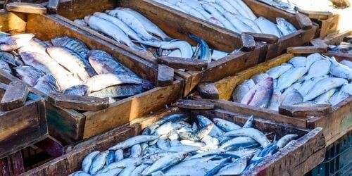 Ab Sahl Hasheesh: Private Stadtführung Hurghada mit Deutschsprachigen Reiseführer