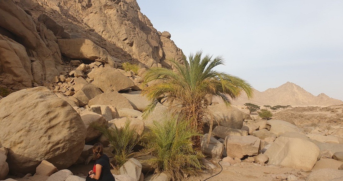 jeep safari tour ab soma bay und safaga