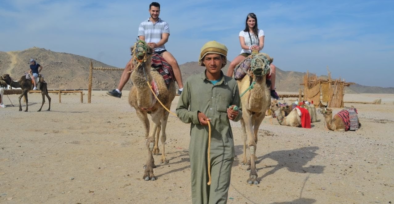 kamele reinten in Hurghada