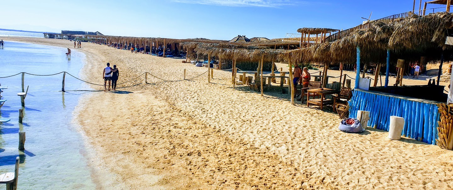 Ab Sahl Hasheesh: Orange Bay Insel Bootsausflug zum Schnorcheln