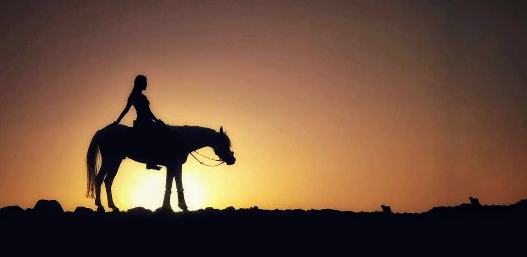 reiten und schwimmen mit den Pferden in sahl hasheesh