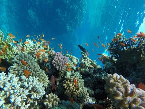 Sindbad U-Boot Ausflug ab Makadi bay sahl Hasheesh