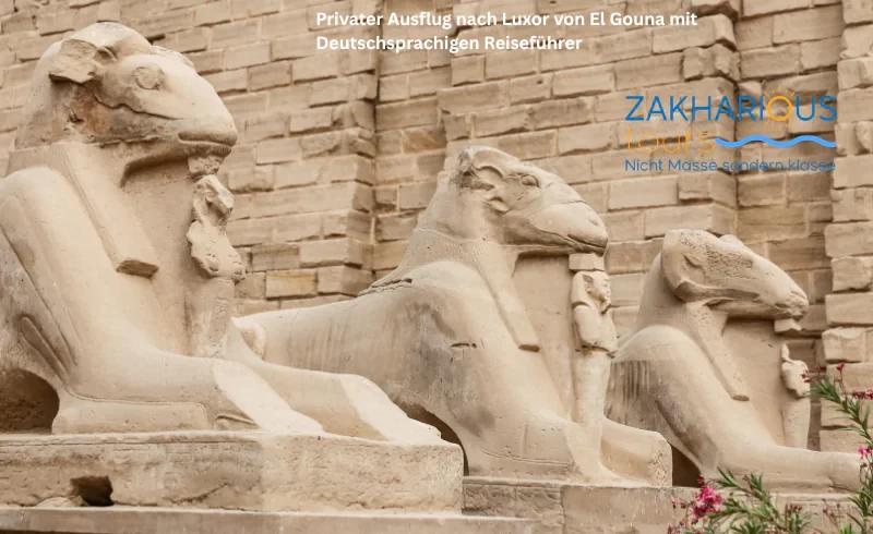 sphinx in karnak tempel, luxor ägypten, el gouna sehenswürdigkeiten, el gouna ausflüge, Privater Ausflug nach Luxor von El Gouna mit Deutschsprachigen Reiseführer