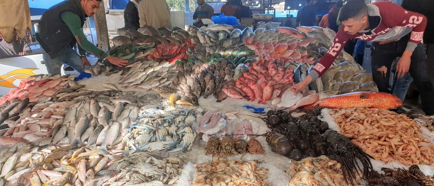 ab el gouna hurghada stadtrundfahrt