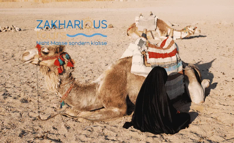wüsten tour hurghada hurghada jeep safari, hurghada, kamel reiten hurghada , hurghada aktivitäten preise, deutschsprachige touren ägypten