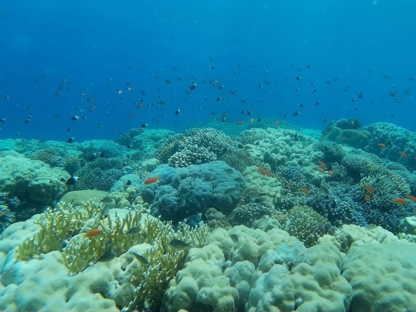 Schnorchelausflug zur Sharm El Naga Bucht ab Sahl Hasheesh & Makadi Bay