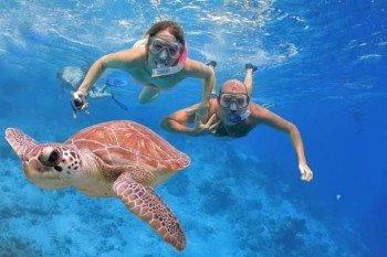 Abu Dabbab bucht Marsa Alam