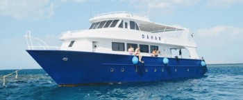 Privater Bootsausflug ab El Gouna zum Schnorcheln