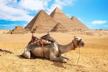 Drei Tage Kairo ab Hurghada mit dem Flugzeug 