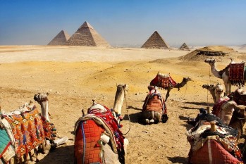 Ausflug nach Kairo & Gizeh von El Gouna mit Flugzeug