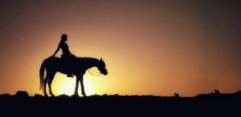 reiten und schwimmen mit den Pferden in Hurghada